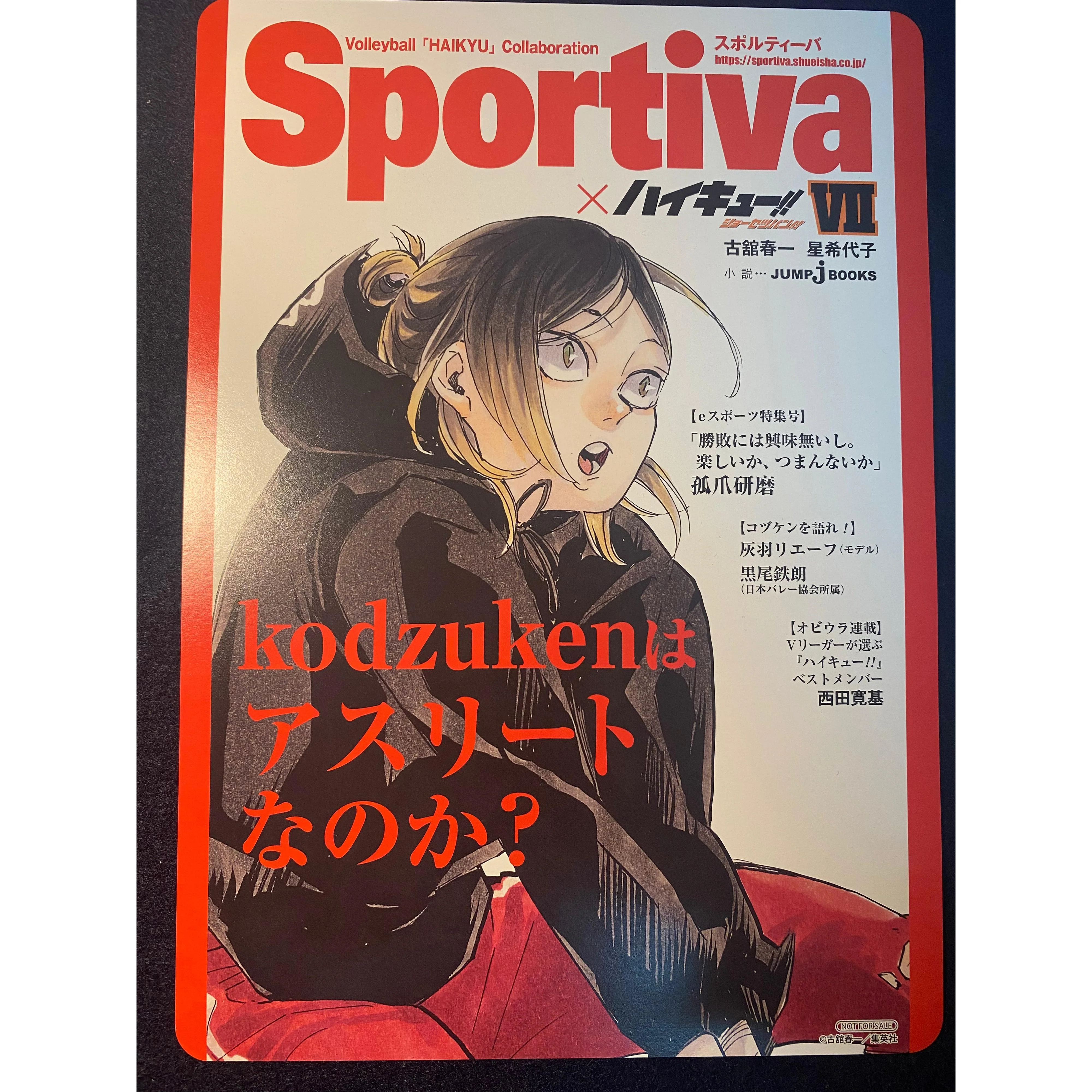 Affiche Grand Format Haikyū!! x Sportiva - Tome 7