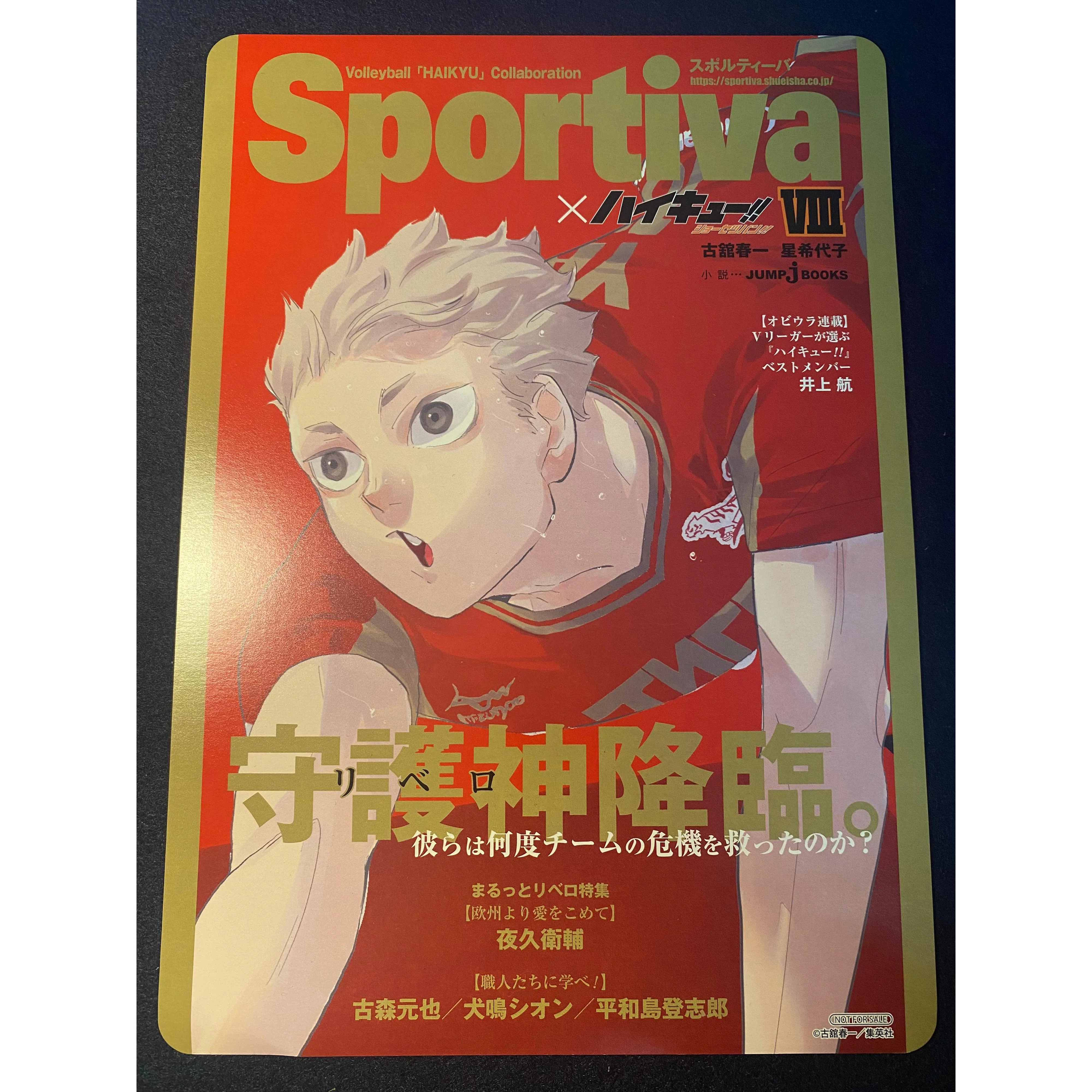 Affiche Grand Format Haikyū!! x Sportiva - Tome 8