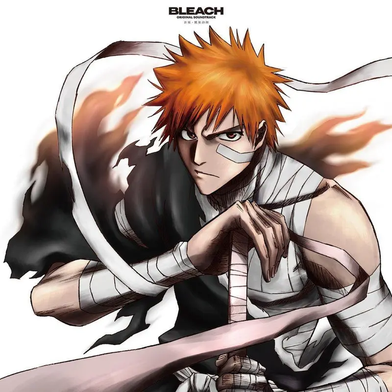 Bleach Vinyle - TV Animation Original Soundtrack (Édition Limitée)