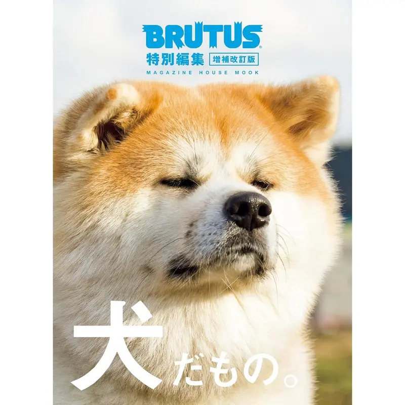 Brutus – Édition Spéciale Revisitée (2023) – It's a Dog