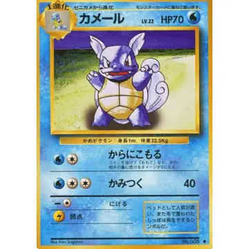 Carte Pokémon Wartortle (EXP) Expansion Pack (Set de Base)