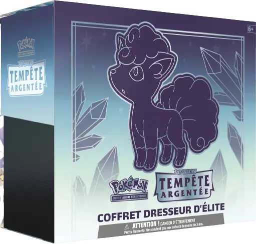 Coffret Dresseur d'Elite - Tempête Argentée [EB12] - FR