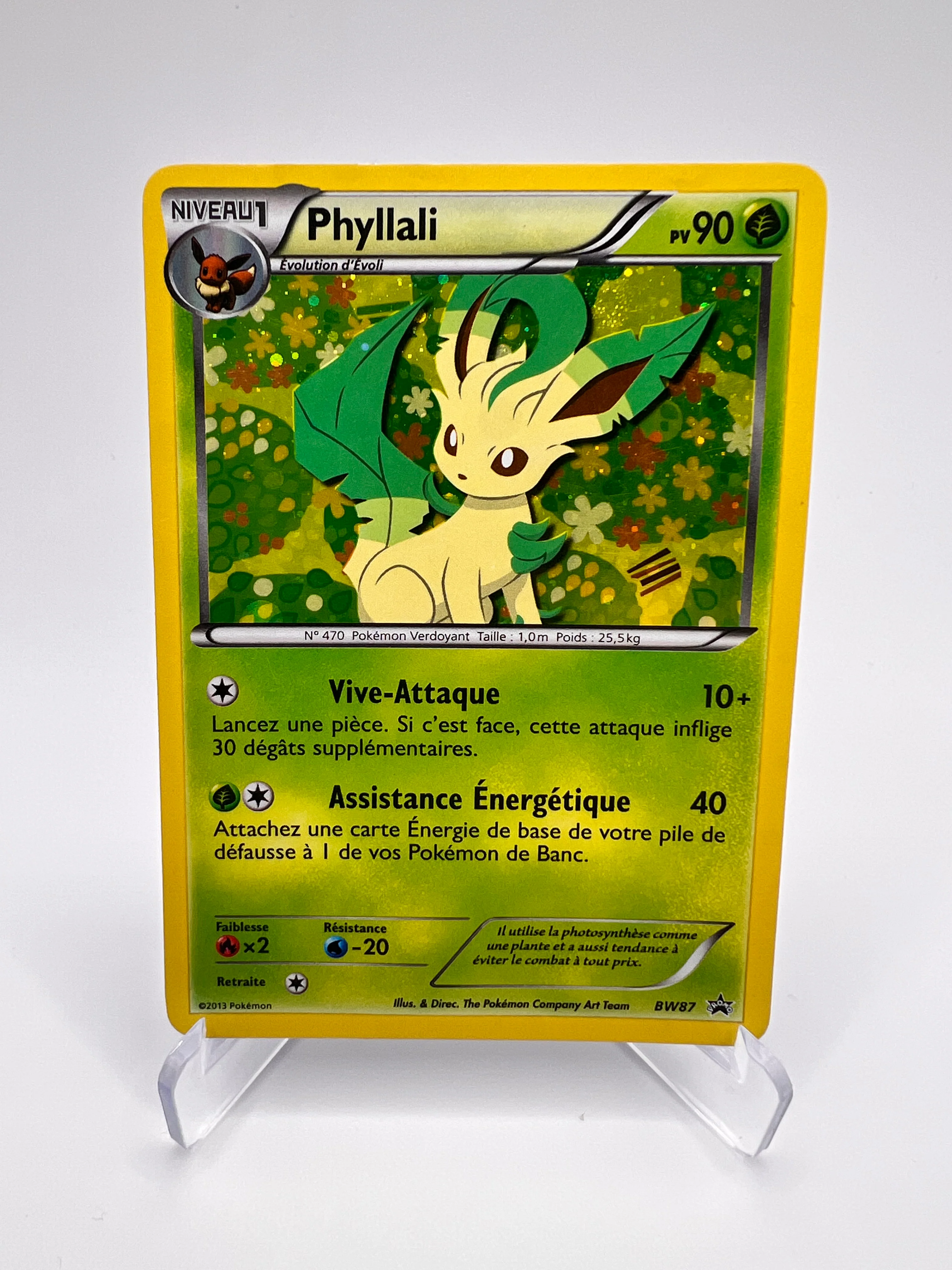 Phyllali BW87