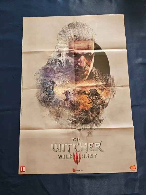 Poster Recto Verso The Witcher 3 Wild Hunt Star Wars Battlefront CD Projekt EA 6
