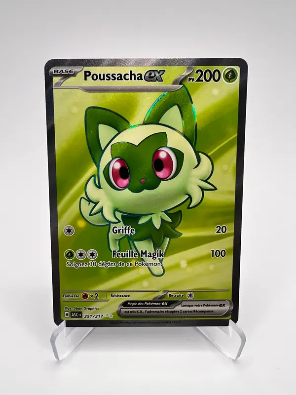 Poussacha ex 251/217 - Heros Transcendants
